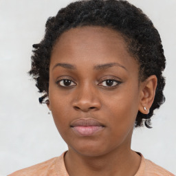 Neutral black young-adult female with short  brown hair and brown eyes