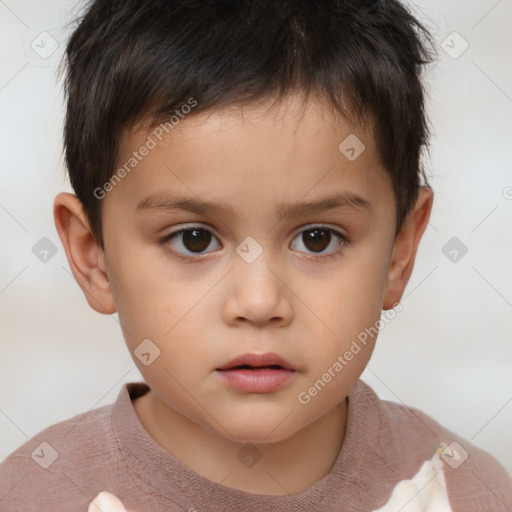 Neutral white child male with short  brown hair and brown eyes