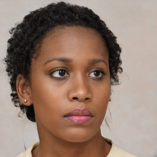 Neutral black young-adult female with short  brown hair and brown eyes