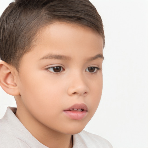 Neutral white child male with short  brown hair and brown eyes