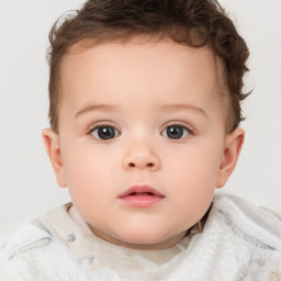 Neutral white child female with short  brown hair and brown eyes