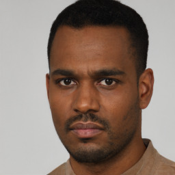 Neutral black young-adult male with short  black hair and brown eyes