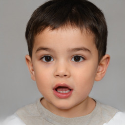 Neutral white child male with short  brown hair and brown eyes