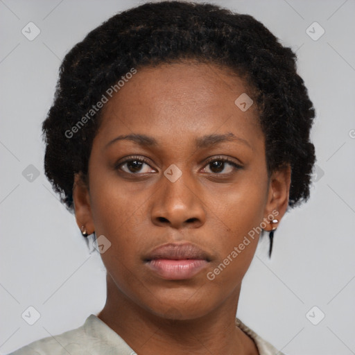 Neutral black young-adult female with short  brown hair and brown eyes