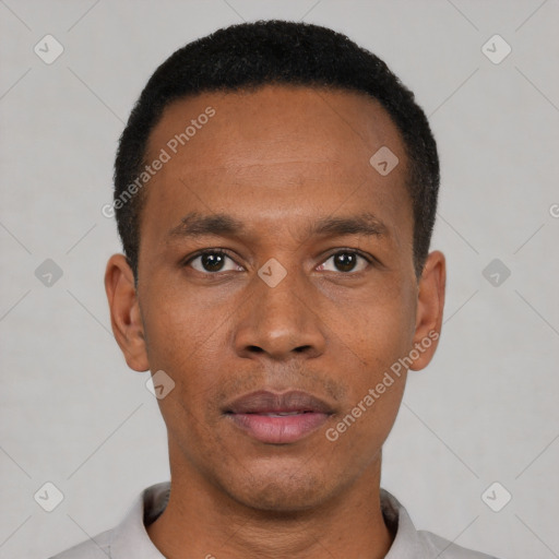 Neutral black young-adult male with short  black hair and brown eyes