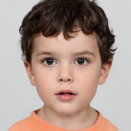 Neutral white child male with short  brown hair and brown eyes
