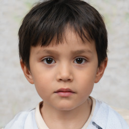 Neutral white child male with short  brown hair and brown eyes