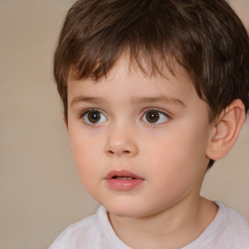 Neutral white child male with short  brown hair and brown eyes