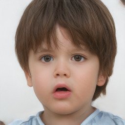 Neutral white child male with short  brown hair and brown eyes