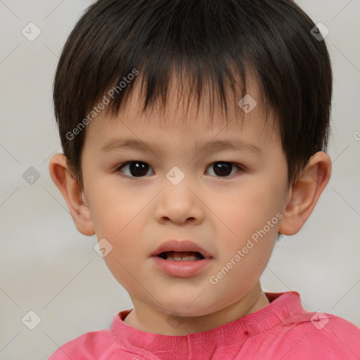 Neutral white child male with short  brown hair and brown eyes