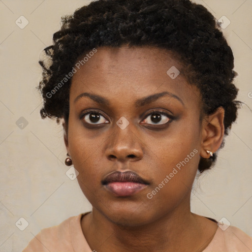 Neutral black young-adult female with short  brown hair and brown eyes