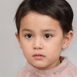 Neutral white child male with short  brown hair and brown eyes