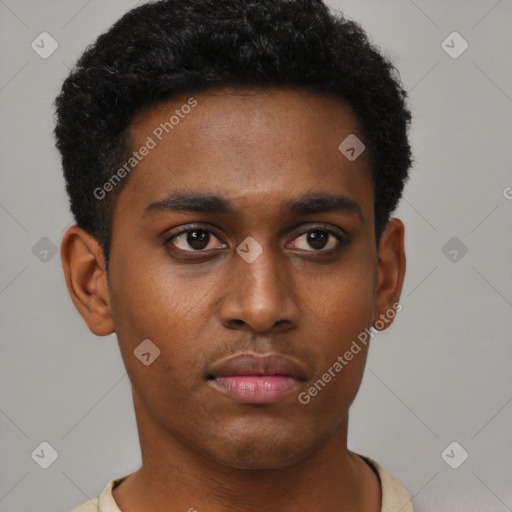Neutral black young-adult male with short  black hair and brown eyes