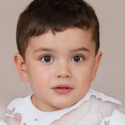 Neutral white child male with short  brown hair and brown eyes