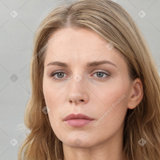 Neutral white young-adult female with long  brown hair and grey eyes