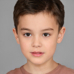 Neutral white child male with short  brown hair and brown eyes