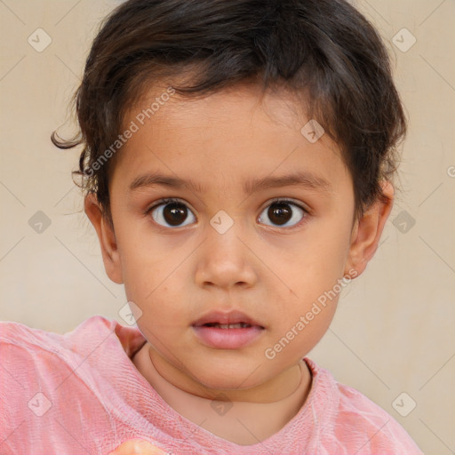 Neutral white child male with short  brown hair and brown eyes