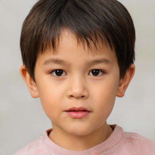 Neutral white child male with short  brown hair and brown eyes