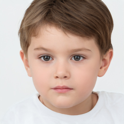 Neutral white child male with short  brown hair and brown eyes