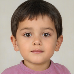 Neutral white child male with short  brown hair and brown eyes