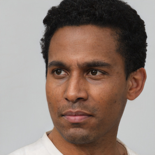 Neutral black adult male with short  black hair and brown eyes
