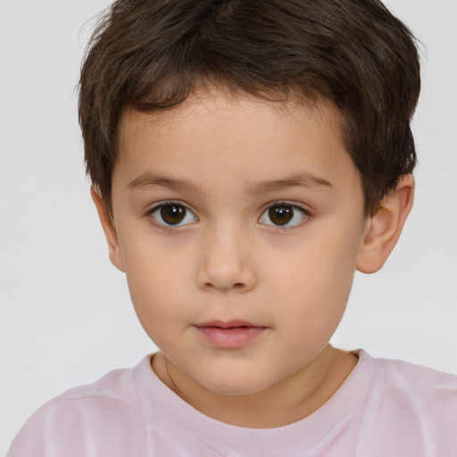 Neutral white child male with short  brown hair and brown eyes