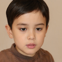 Neutral white child male with short  brown hair and brown eyes