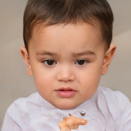 Neutral white child male with short  brown hair and brown eyes