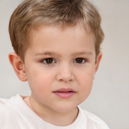 Neutral white child male with short  brown hair and brown eyes