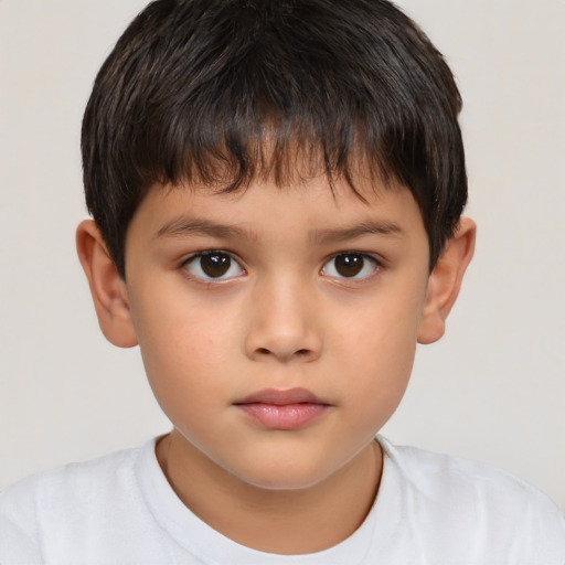 Neutral white child male with short  brown hair and brown eyes