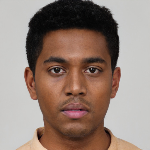 Neutral black young-adult male with short  black hair and brown eyes