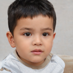 Neutral white child male with short  brown hair and brown eyes