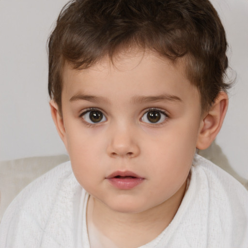 Neutral white child male with short  brown hair and brown eyes