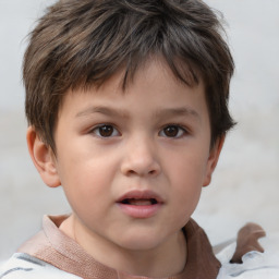 Neutral white child male with short  brown hair and brown eyes