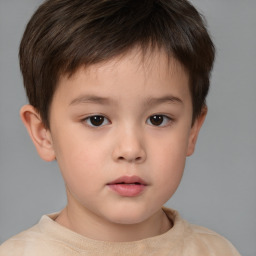 Neutral white child male with short  brown hair and brown eyes