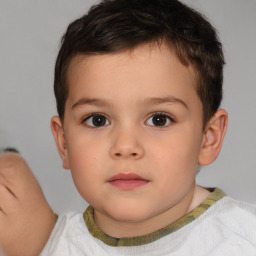 Neutral white child male with short  brown hair and brown eyes