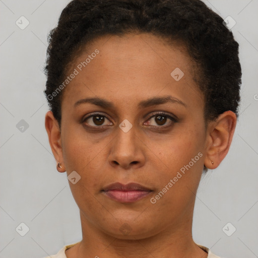 Neutral black young-adult female with short  brown hair and brown eyes