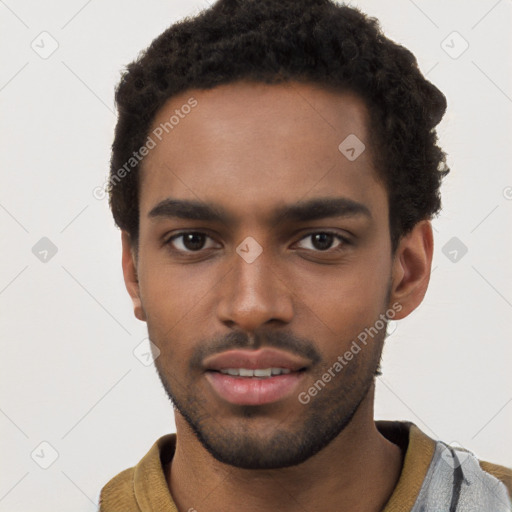 Neutral black young-adult male with short  brown hair and brown eyes