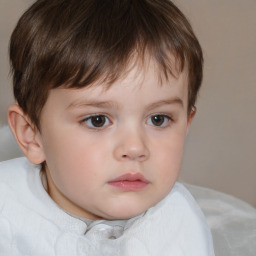 Neutral white child male with short  brown hair and brown eyes