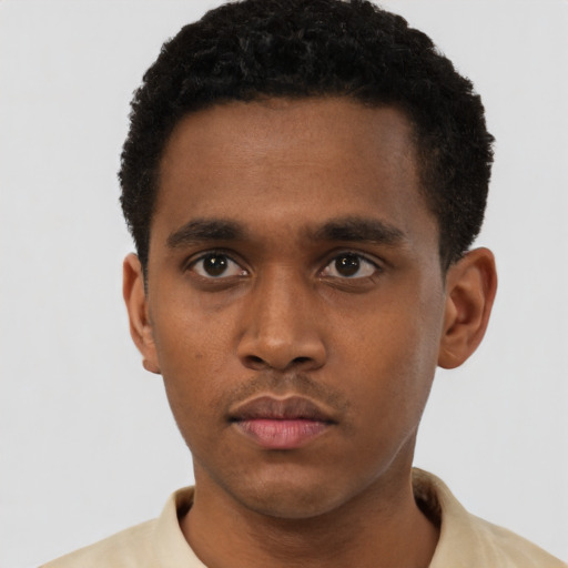 Neutral black young-adult male with short  brown hair and brown eyes