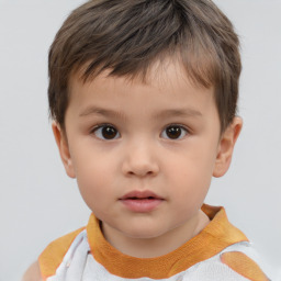 Neutral white child male with short  brown hair and brown eyes