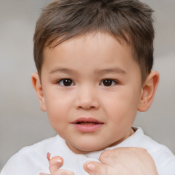 Neutral white child male with short  brown hair and brown eyes