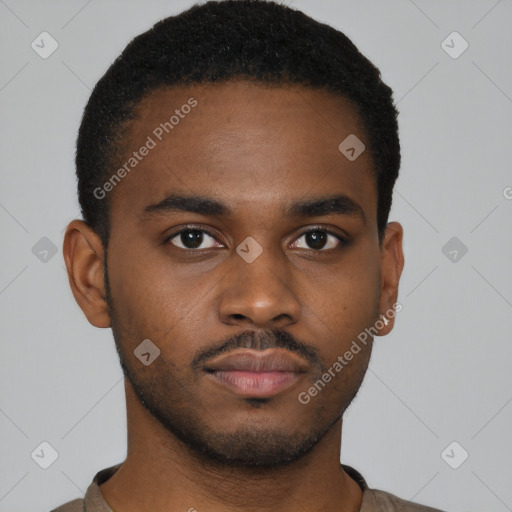 Neutral black young-adult male with short  brown hair and brown eyes