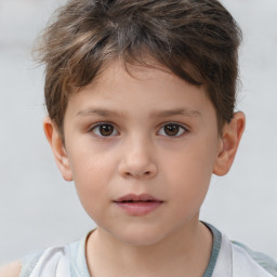 Neutral white child male with short  brown hair and brown eyes