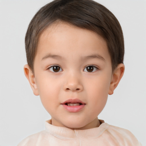 Neutral white child male with short  brown hair and brown eyes