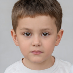 Neutral white child male with short  brown hair and brown eyes