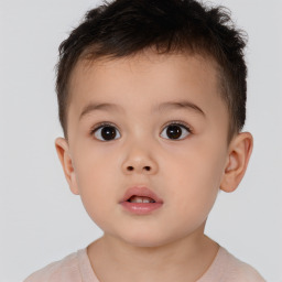 Neutral white child male with short  brown hair and brown eyes