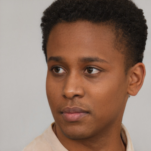 Neutral black young-adult male with short  brown hair and brown eyes