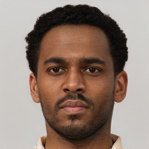 Neutral black young-adult male with short  brown hair and brown eyes
