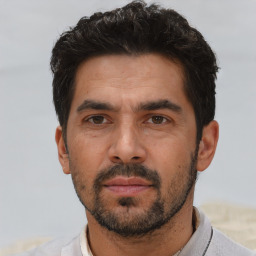 Neutral asian adult male with short  black hair and brown eyes